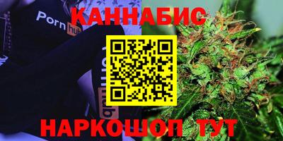 крисы Будённовск